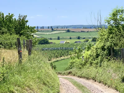 Fietsroute Van Schin op Geul tot Teuven